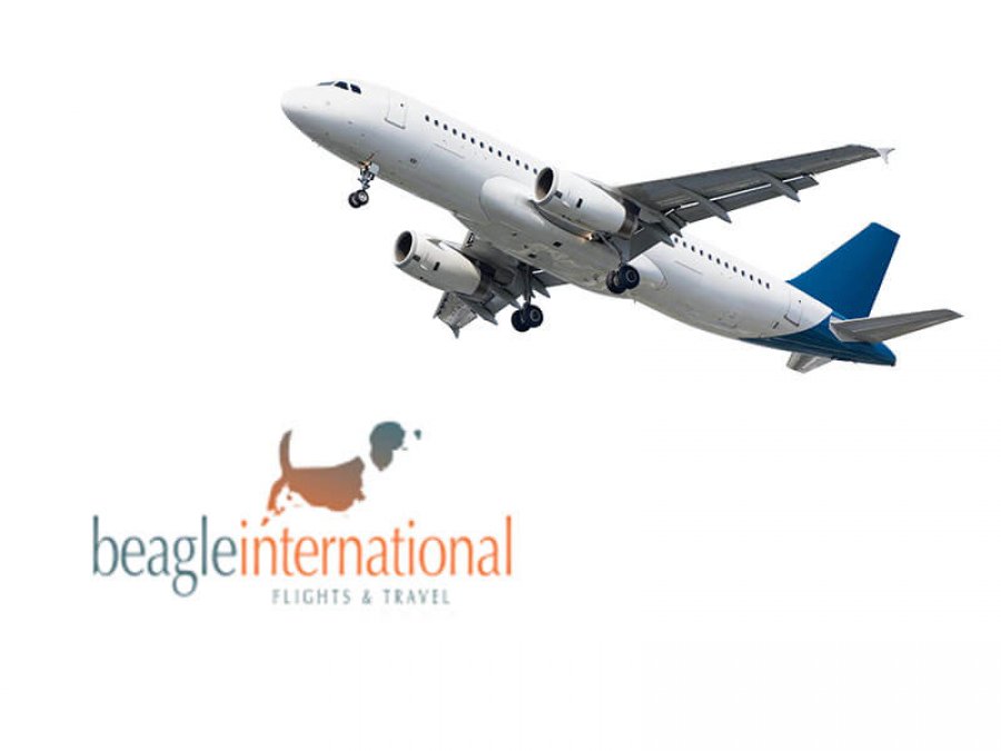 Beagle Flights
